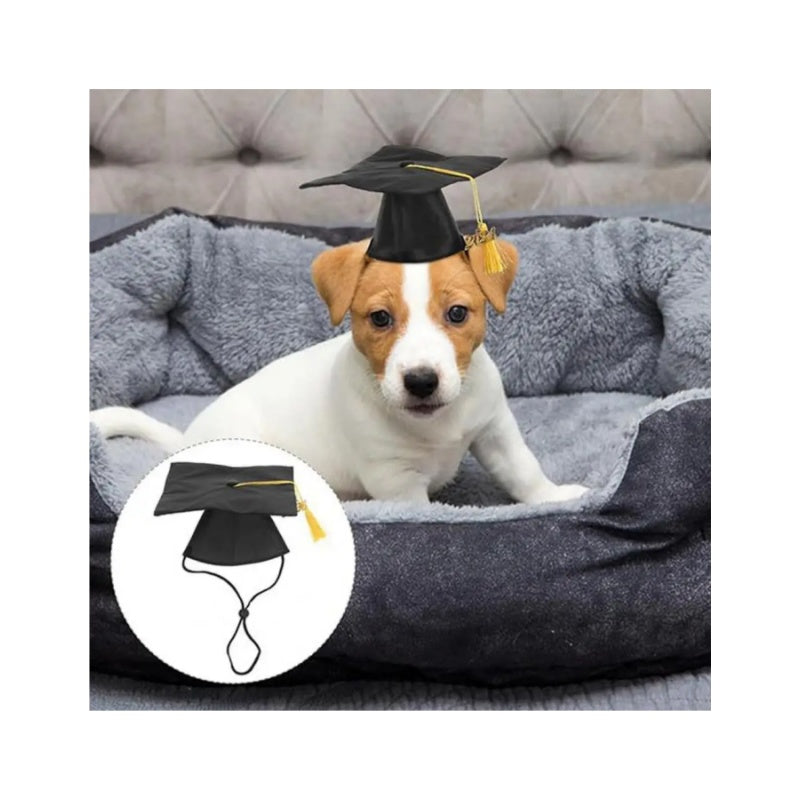 Graduation Dog Apparel – Adorable Cap Set for Your Pup’s Graduation Day